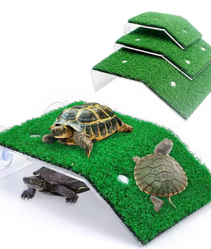 Schildpad Basking Platform met Ramp – Terrarium Rust- en Zonneplek