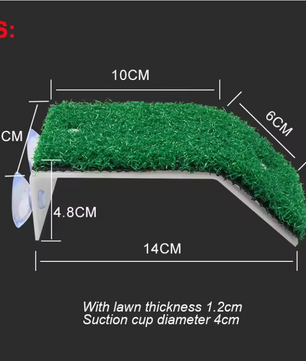 Schildpad Basking Platform met Ramp – Terrarium Rust- en Zonneplek