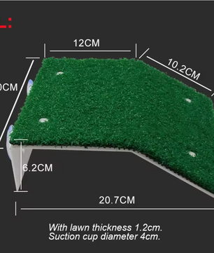 Schildpad Basking Platform met Ramp – Terrarium Rust- en Zonneplek