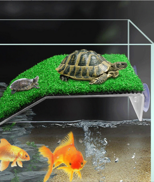 Schildpad Basking Platform met Ramp – Terrarium Rust- en Zonneplek