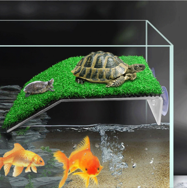 Schildpad Basking Platform met Ramp – Terrarium Rust- en Zonneplek