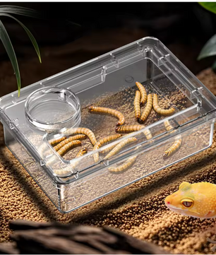 Reptielen Voer- en Waterbak – Anti-Escape Insecten Voerschaal Terrarium