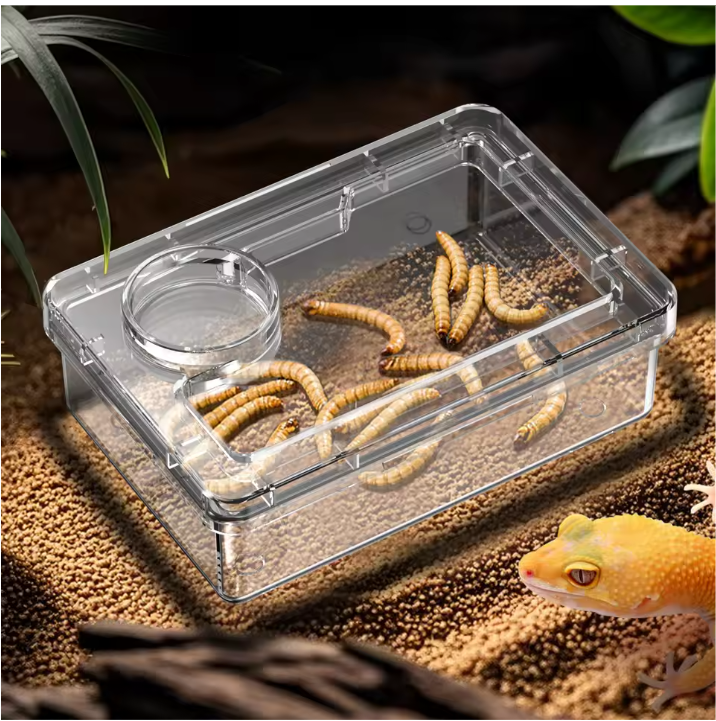 Reptielen Voer- en Waterbak – Anti-Escape Insecten Voerschaal Terrarium