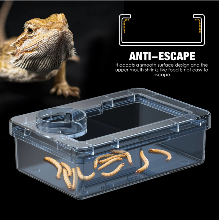 Reptielen Voer- en Waterbak – Anti-Escape Insecten Voerschaal Terrarium