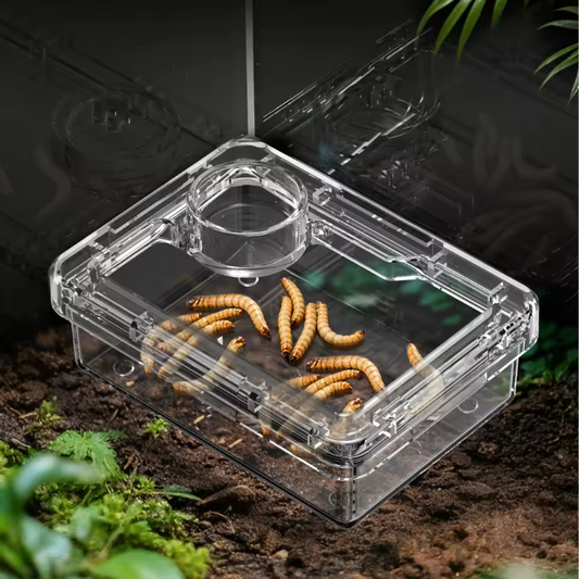 Reptielen Voer- en Waterbak – Anti-Escape Insecten Voerschaal Terrarium