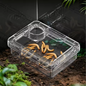 Reptielen Voer- en Waterbak – Anti-Escape Insecten Voerschaal Terrarium