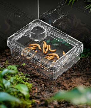 Reptielen Voer- en Waterbak – Anti-Escape Insecten Voerschaal Terrarium
