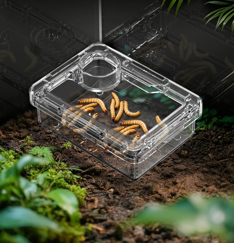 Reptielen Voer- en Waterbak – Anti-Escape Insecten Voerschaal Terrarium