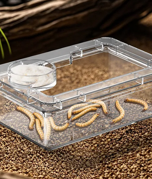 Reptielen Voer- en Waterbak – Anti-Escape Insecten Voerschaal Terrarium