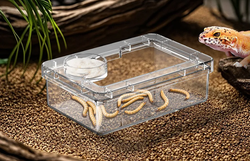 Reptielen Voer- en Waterbak – Anti-Escape Insecten Voerschaal Terrarium