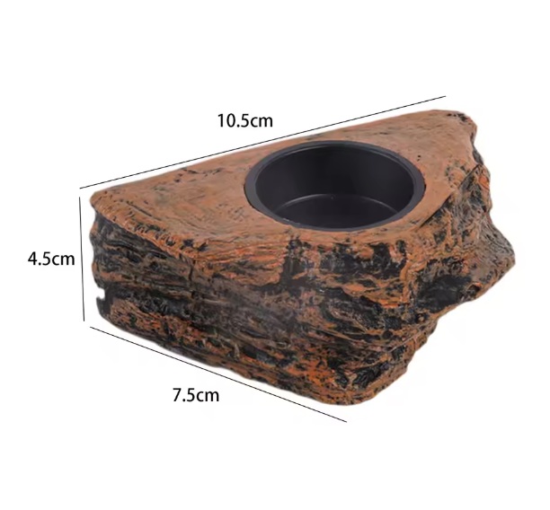 Magnetische Reptielen Voerbak – Terrarium Voer- en Waterhouder voor Glas