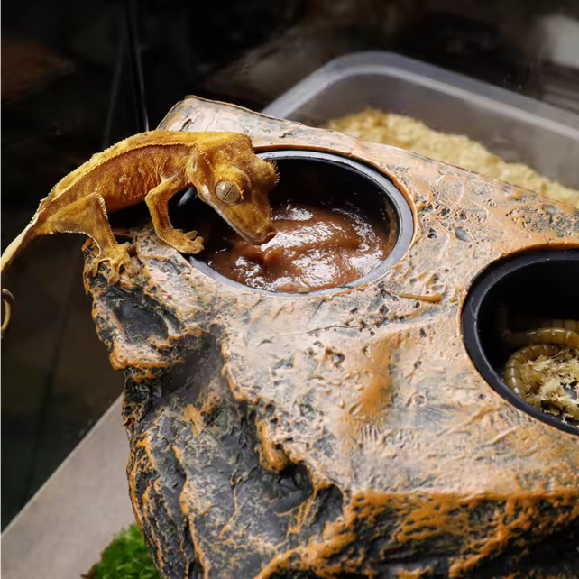 Magnetische Reptielen Voerbak – Terrarium Voer- en Waterhouder voor Glas