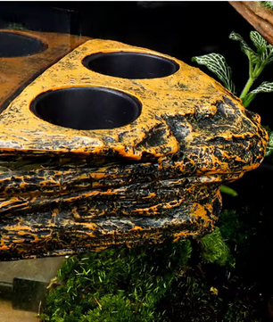 Magnetische Reptielen Voerbak – Terrarium Voer- en Waterhouder voor Glas