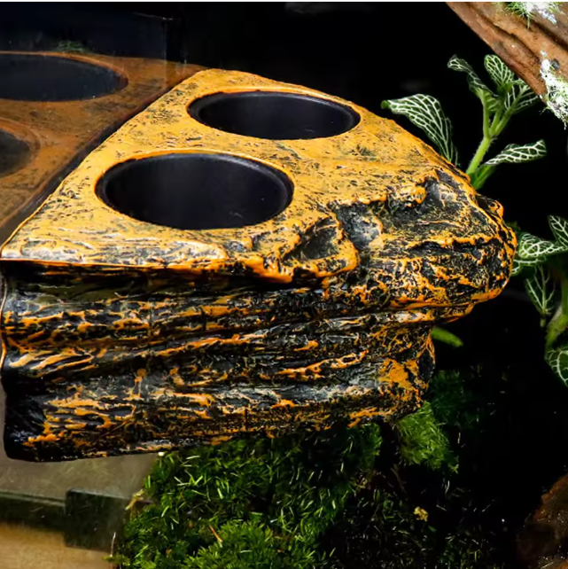 Magnetische Reptielen Voerbak – Terrarium Voer- en Waterhouder voor Glas