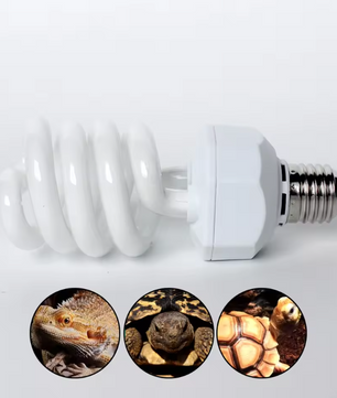 Reptielen UVB Lamp 26W – Terrarium Warmte- en Calciumlamp E27