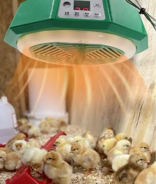 Intelligente Warmtelamp met Afstandsbediening – Dieren Verwarmingslamp 220V