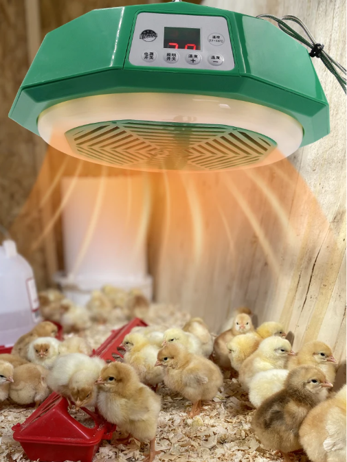 Intelligente Warmtelamp met Afstandsbediening – Dieren Verwarmingslamp 220V