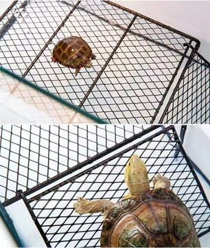 Schildpad Zonneplatform – Drijvend Rust- en Klimplatform voor Aquarium