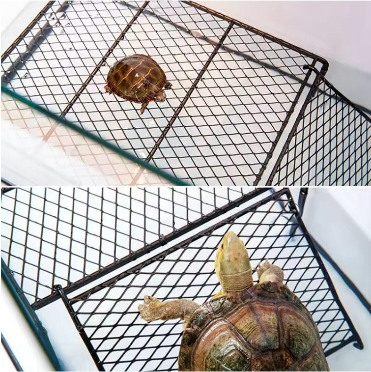 Schildpad Zonneplatform – Drijvend Rust- en Klimplatform voor Aquarium