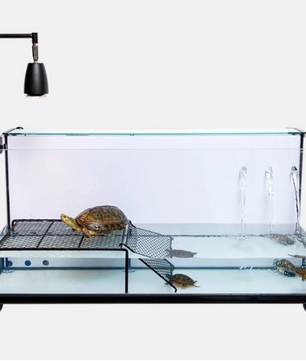 Schildpad Zonneplatform – Drijvend Rust- en Klimplatform voor Aquarium