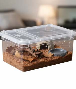 Transparante Reptielen Kweekbox – Mini Terrarium en Transportbox