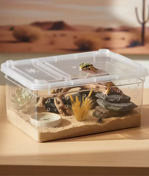 Transparante Reptielen Kweekbox – Mini Terrarium en Transportbox