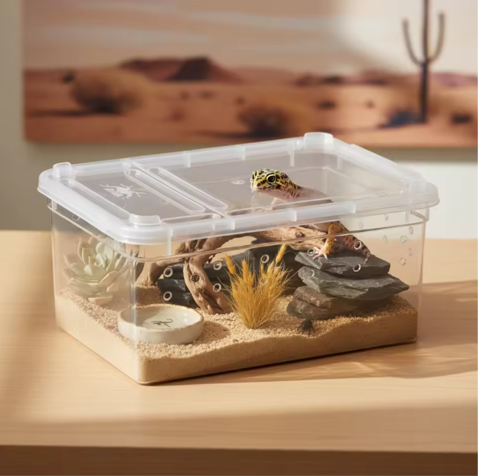 Transparante Reptielen Kweekbox – Mini Terrarium en Transportbox