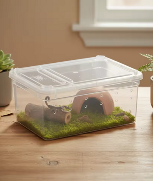 Transparante Reptielen Kweekbox – Mini Terrarium en Transportbox