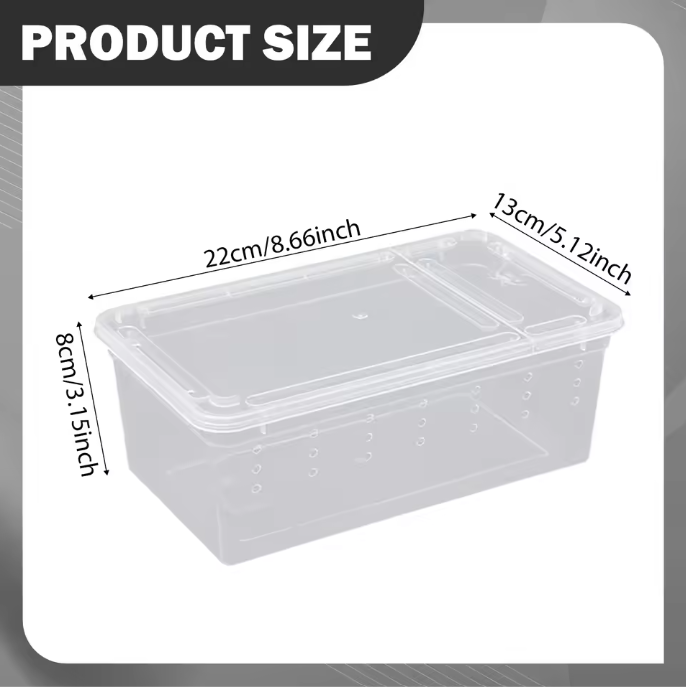 Transparante Reptielen Kweekbox – Mini Terrarium en Transportbox