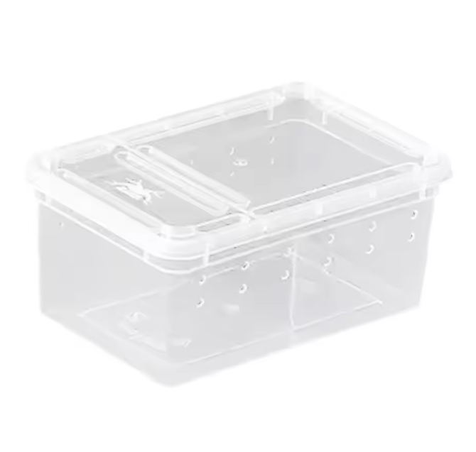 Transparante Reptielen Kweekbox – Mini Terrarium en Transportbox