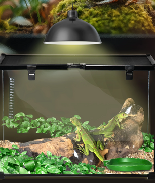 Reptielen Terrarium 50 cm – Glas en Metaal Habitat Verblijf