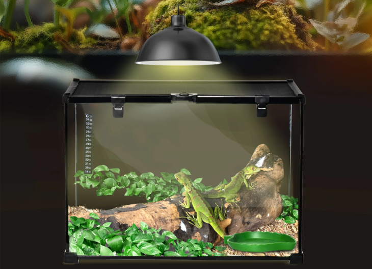 Reptielen Terrarium 50 cm – Glas en Metaal Habitat Verblijf