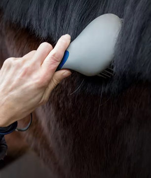 Paarden Manen- en Staartborstel – Professionele Antislip Verzorgingsborstel