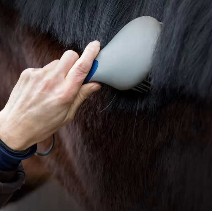 Paarden Manen- en Staartborstel – Professionele Antislip Verzorgingsborstel