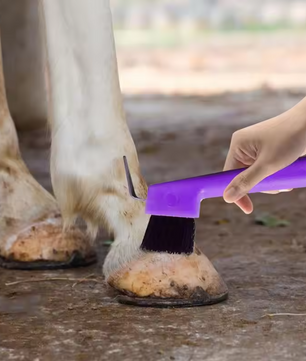2-in-1 Hoefkrabber met Borstel – Paarden Hoefreiniger voor Verzorging