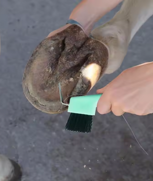 2-in-1 Hoefkrabber met Borstel – Paarden Hoefreiniger voor Verzorging