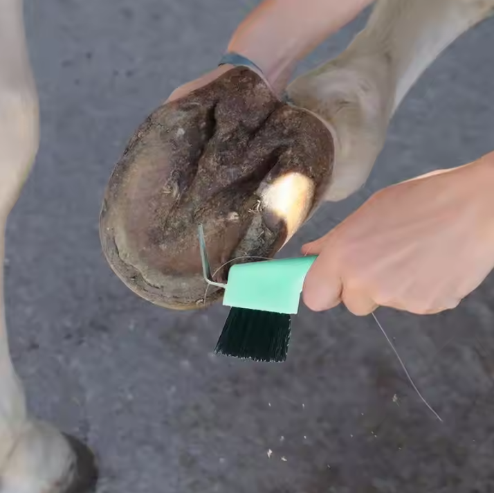 2-in-1 Hoefkrabber met Borstel – Paarden Hoefreiniger voor Verzorging