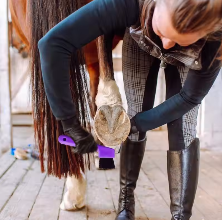 2-in-1 Hoefkrabber met Borstel – Paarden Hoefreiniger voor Verzorging