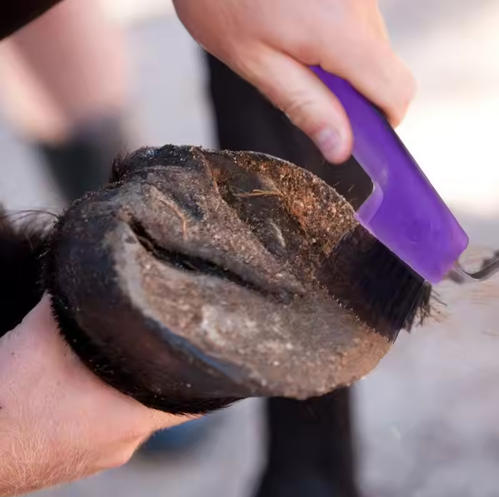2-in-1 Hoefkrabber met Borstel – Paarden Hoefreiniger voor Verzorging