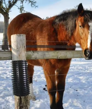 Krabborstel voor Paarden en Vee – Rubberen Massage- en Groomingborstel