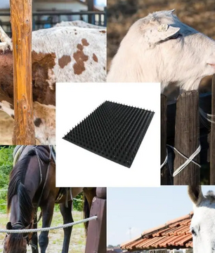 Krabborstel voor Paarden en Vee – Rubberen Massage- en Groomingborstel