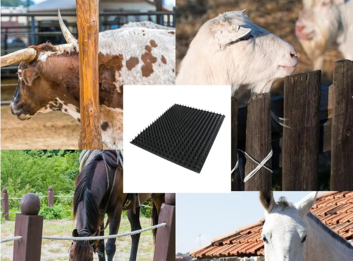 Krabborstel voor Paarden en Vee – Rubberen Massage- en Groomingborstel