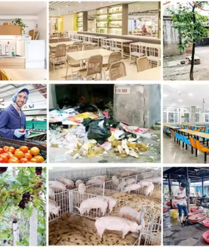 Herbruikbare Vliegenval met 7 Ingangen – Effectieve Vliegenvanger zonder Elektriciteit