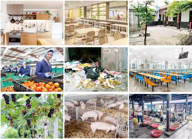 Herbruikbare Vliegenval met 7 Ingangen – Effectieve Vliegenvanger zonder Elektriciteit