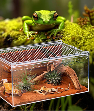 Transparant Reptielen Terrarium – Acryl Behuizing met Ventilatie voor Spin, Gecko, Slang en Kikker