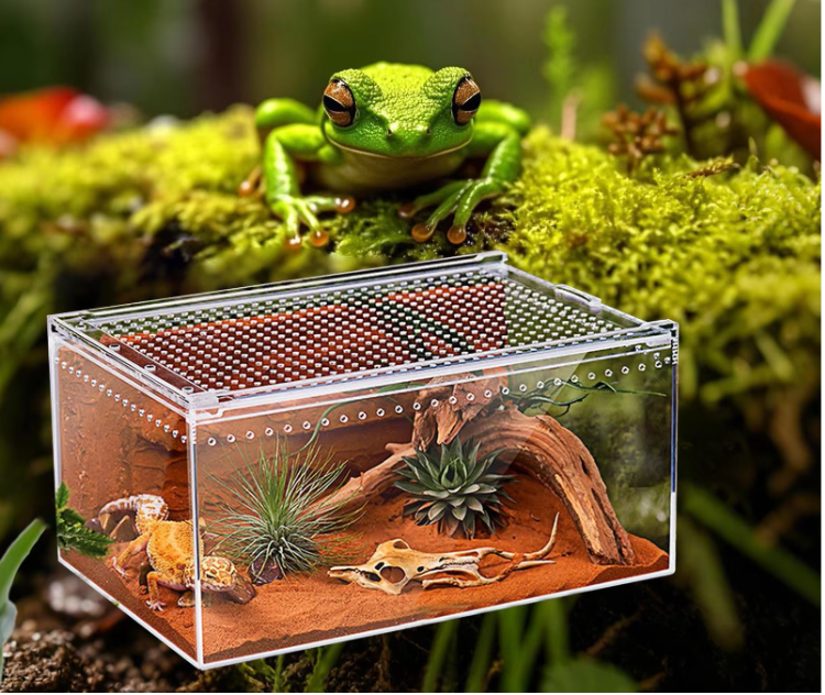 Transparant Reptielen Terrarium – Acryl Behuizing met Ventilatie voor Spin, Gecko, Slang en Kikker