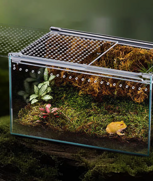 Transparant Reptielen Terrarium – Acryl Behuizing met Ventilatie voor Spin, Gecko, Slang en Kikker