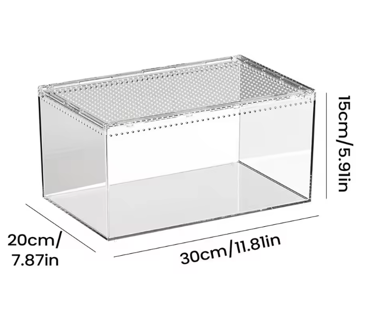 Transparant Reptielen Terrarium – Acryl Behuizing met Ventilatie voor Spin, Gecko, Slang en Kikker