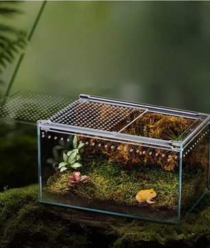 Transparant Reptielen Terrarium – Acryl Behuizing met Ventilatie voor Spin, Gecko, Slang en Kikker