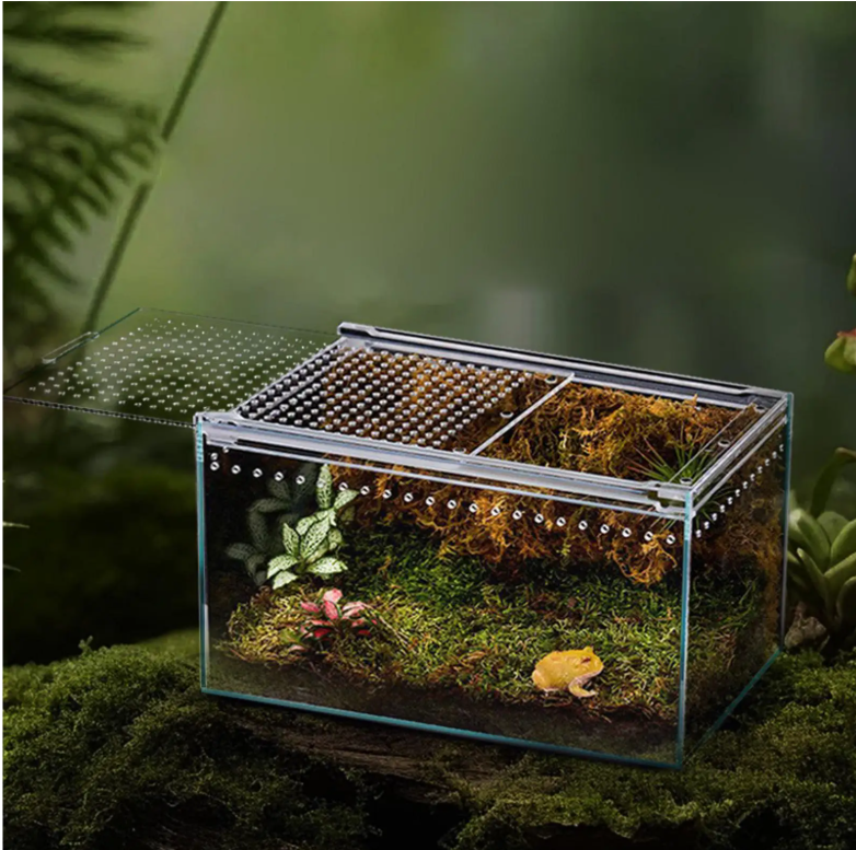 Transparant Reptielen Terrarium – Acryl Behuizing met Ventilatie voor Spin, Gecko, Slang en Kikker